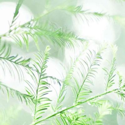 天命起源折扣端下载